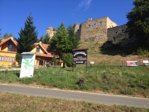 A castle close to ⁨Wojasz&oacute;wka⁩, Poland